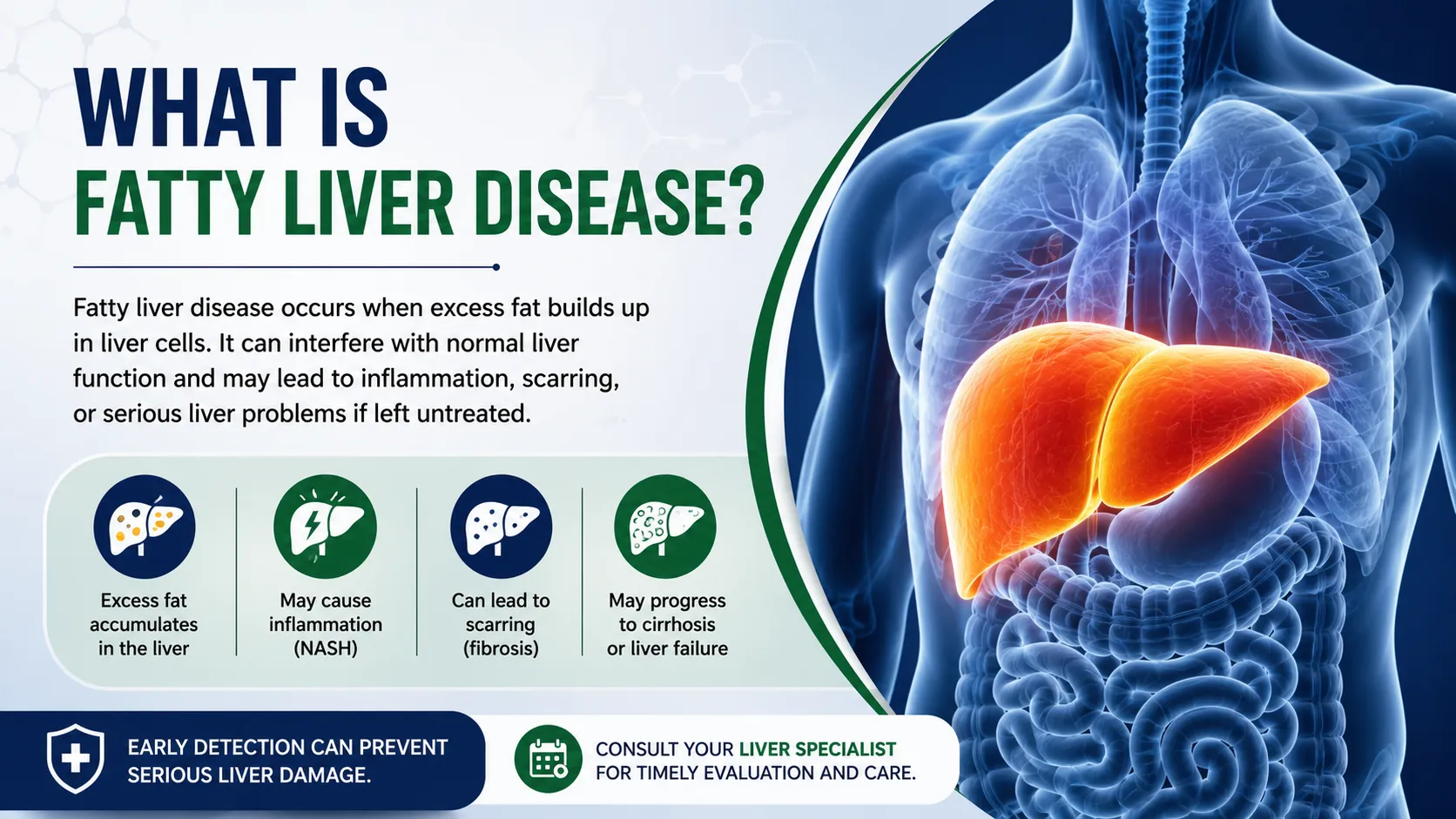 What Is Fatty Liver Disease