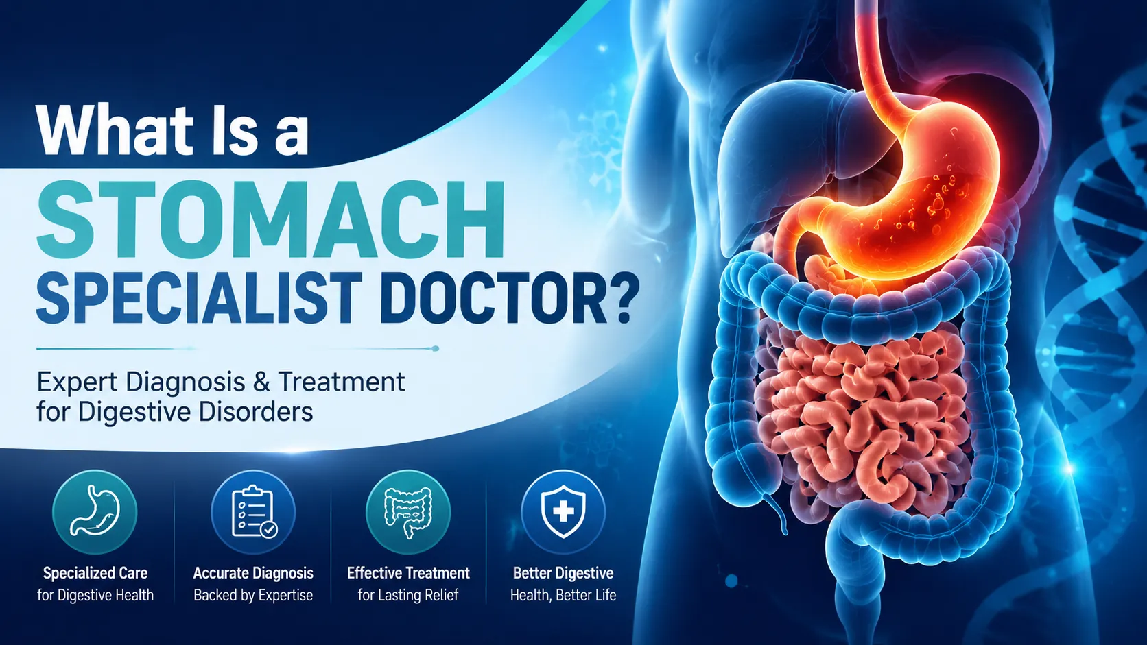 What Is a Stomach Specialist Doctor