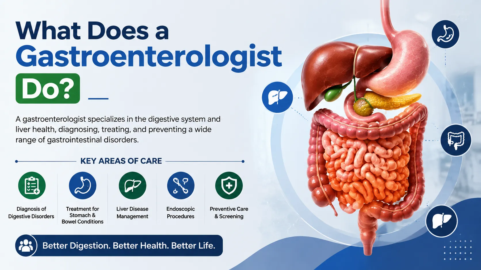 What Does a Gastroenterologist Do