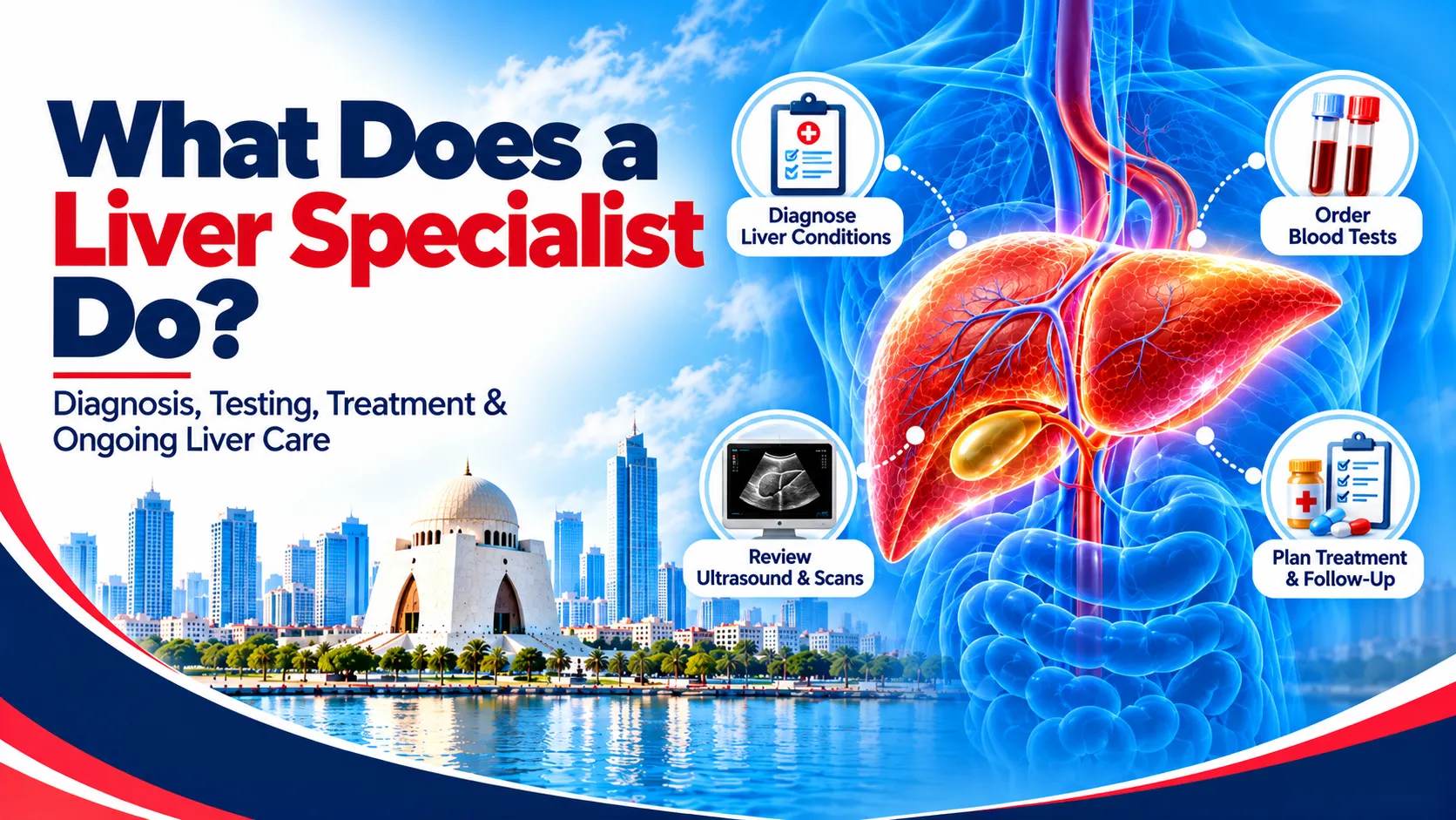 What Does a Liver Specialist Do